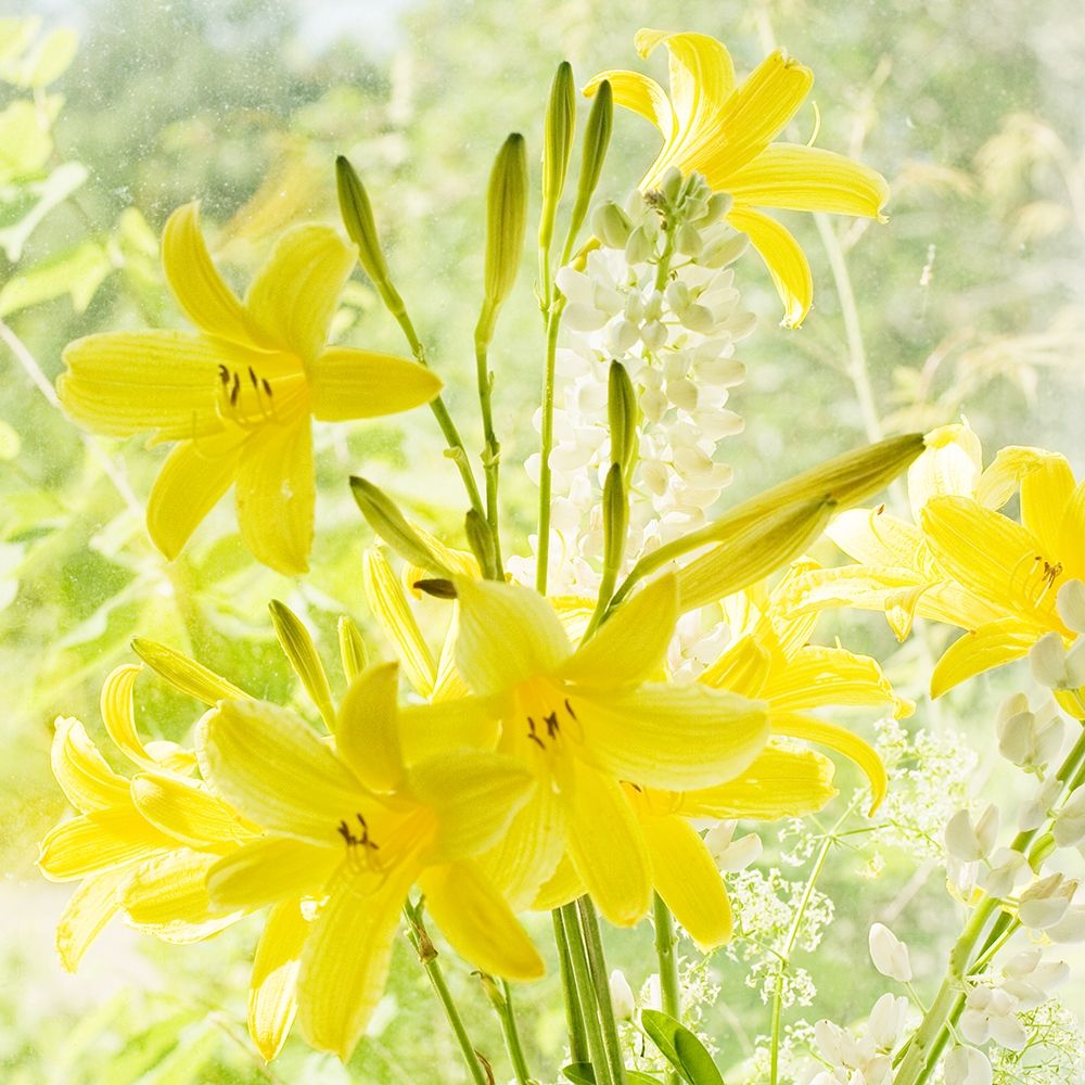 Lemon Lilies  art print by Judy Stalus for $57.95 CAD