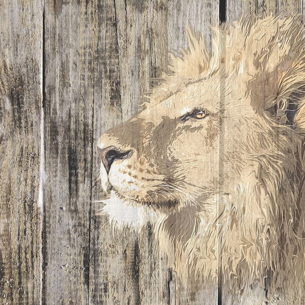 Wildheads Lion art print by Karen Smith for $57.95 CAD