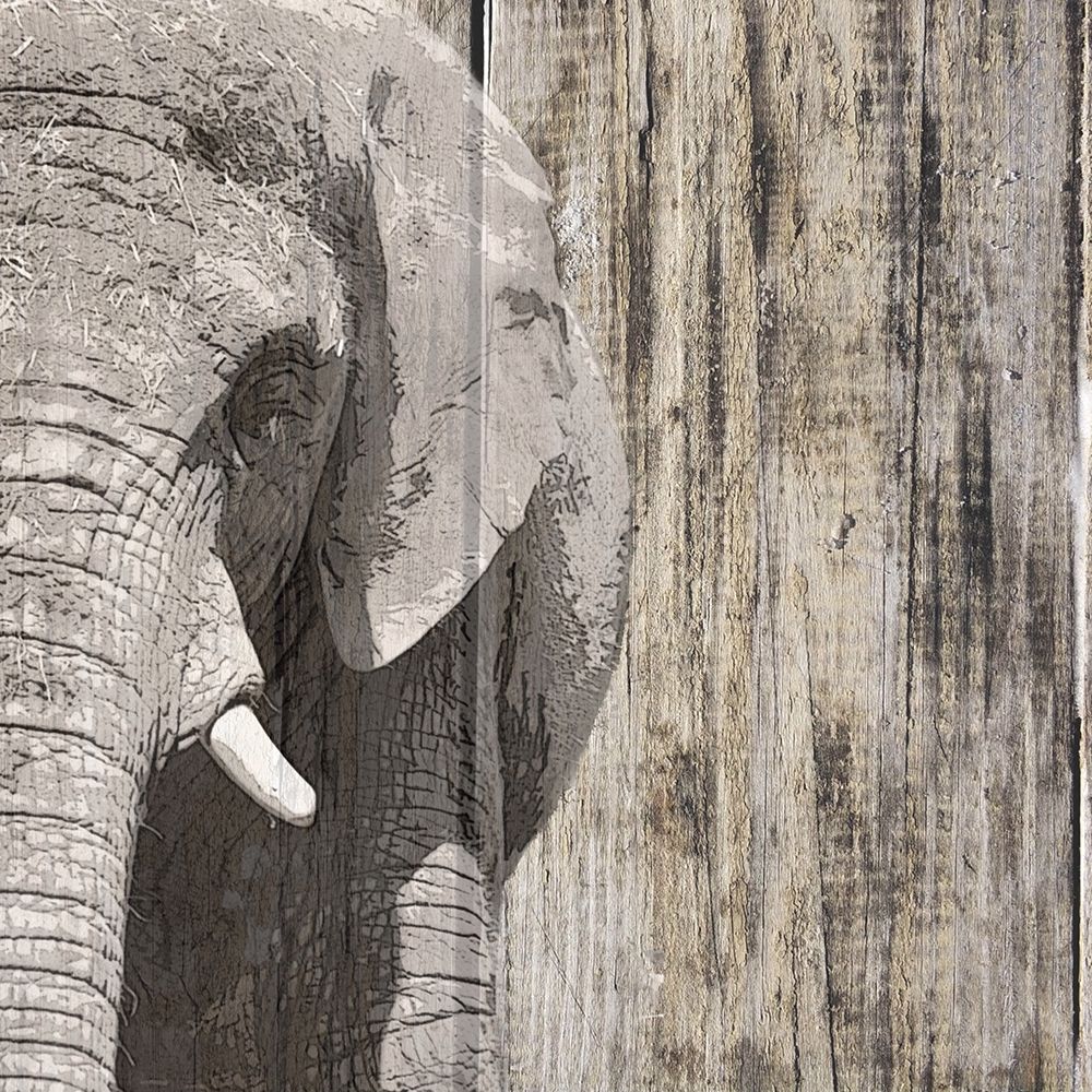 Wildheads Elephant art print by Karen Smith for $57.95 CAD