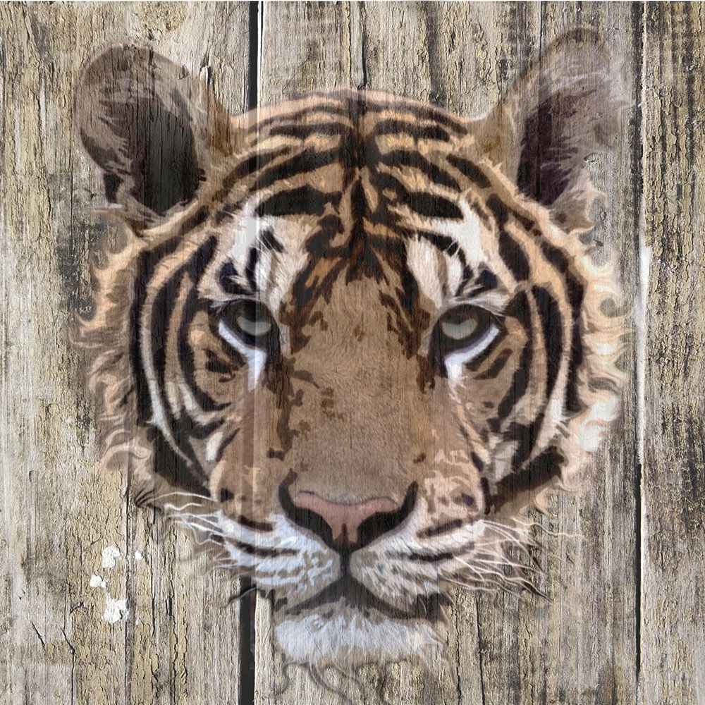 Wildheads Tiger art print by Karen Smith for $57.95 CAD