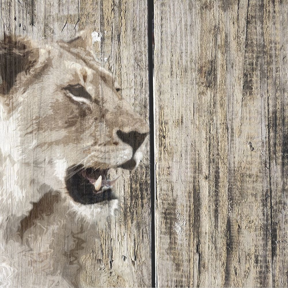 Wildheads Lioness art print by Karen Smith for $57.95 CAD