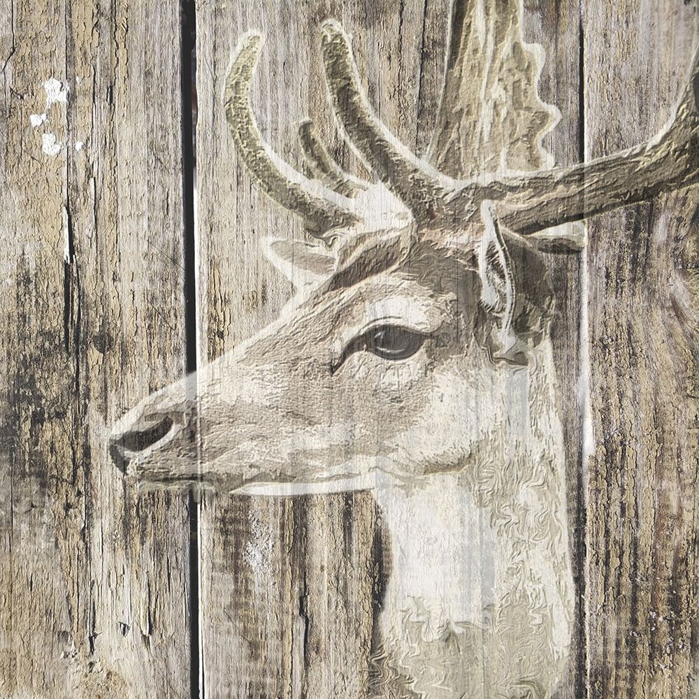 Wildheads Stag art print by Karen Smith for $57.95 CAD