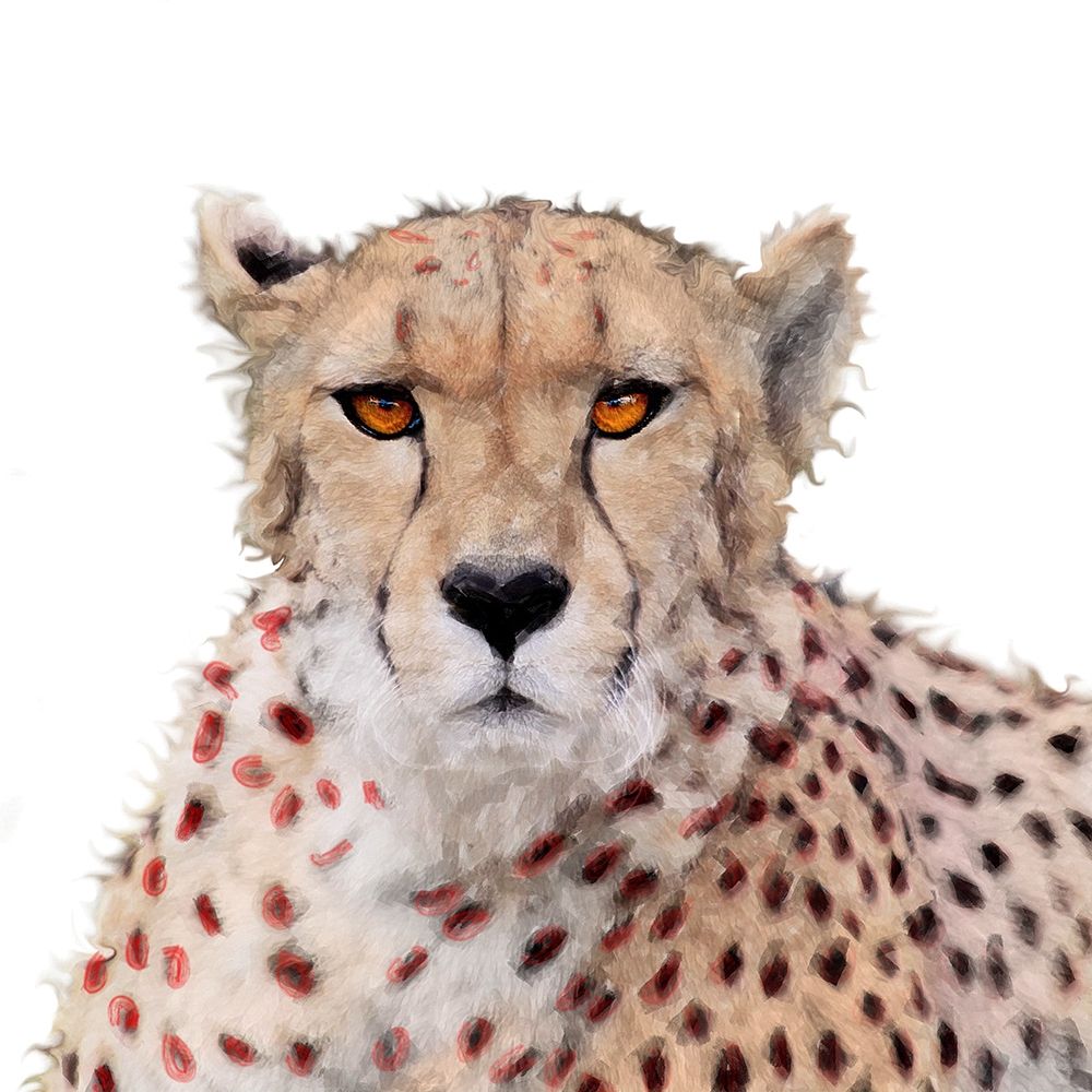 Cheetah Paint art print by Karen Smith for $57.95 CAD