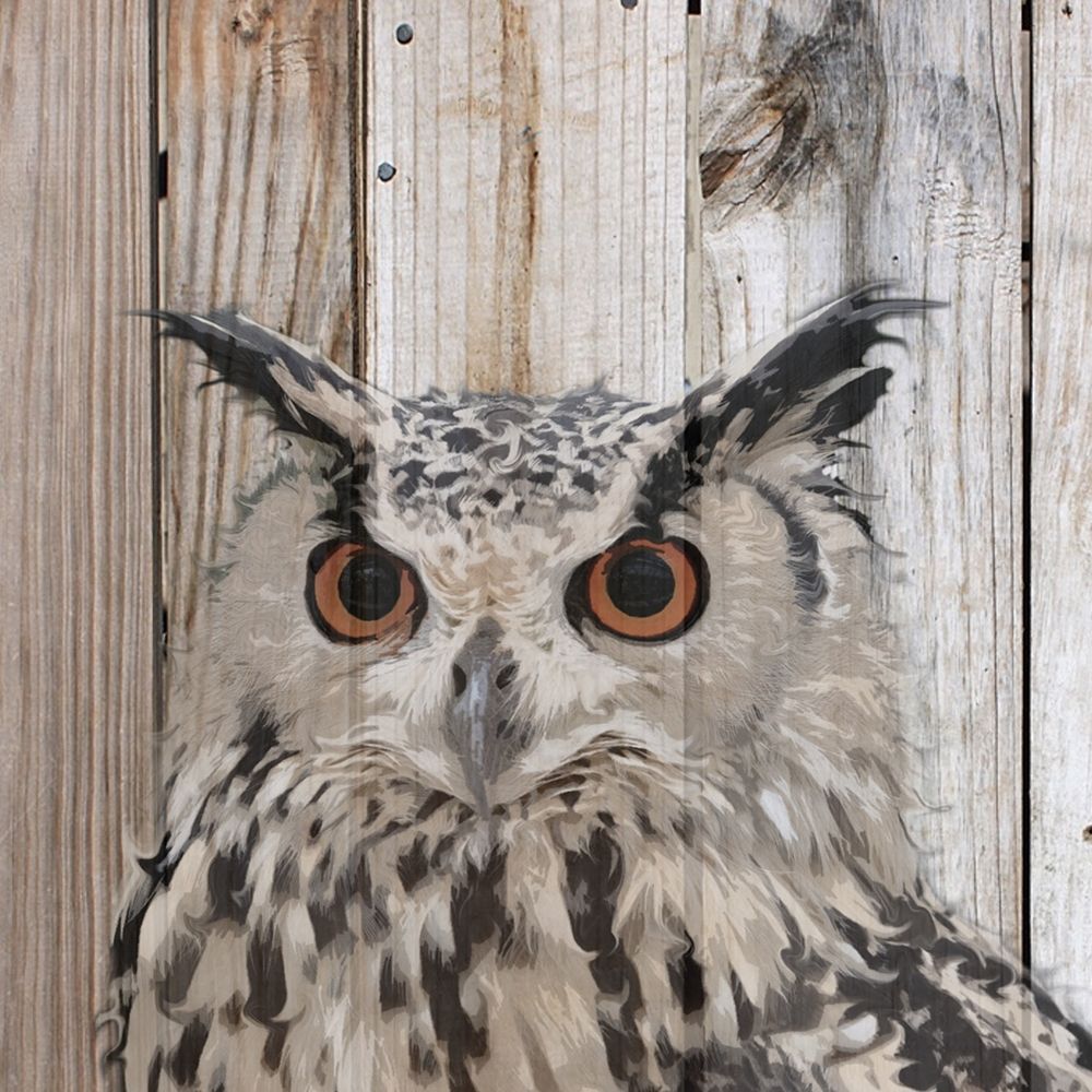 Owlish art print by Karen Smith for $57.95 CAD