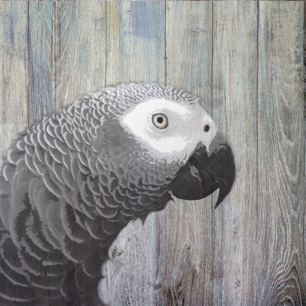 Bird Heads II art print by Karen Smith for $57.95 CAD