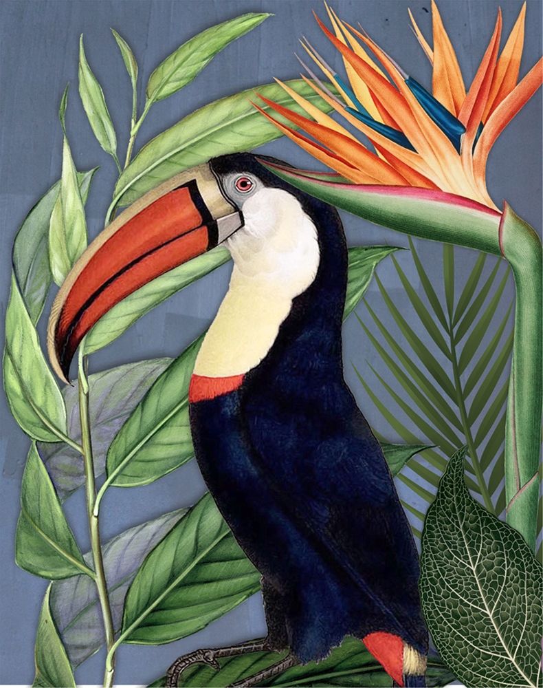 Toucan Jungle II art print by Karen Smith for $57.95 CAD