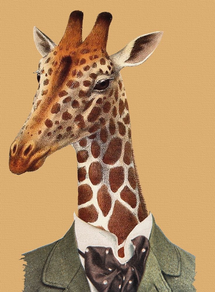 Posh Giraffe art print by Karen Smith for $57.95 CAD