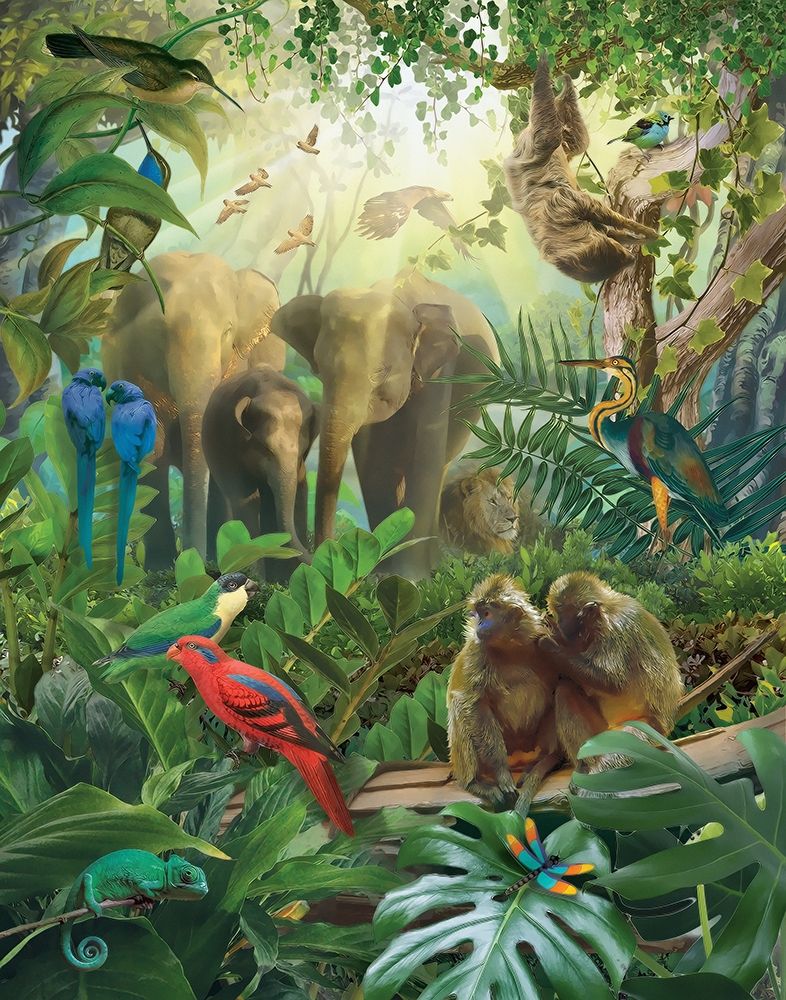 Jungle Mix II art print by Steve Hunziker for $57.95 CAD