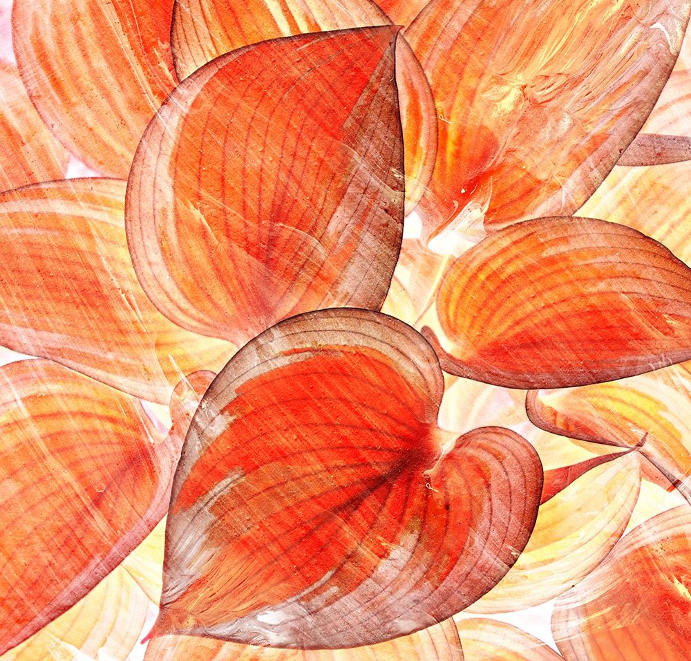 Botanic Oranges art print by Agata Surma for $57.95 CAD