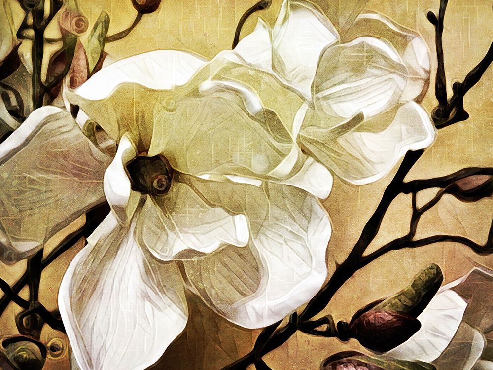 Majestic Magnolia art print by Ashley Aldridge for $57.95 CAD
