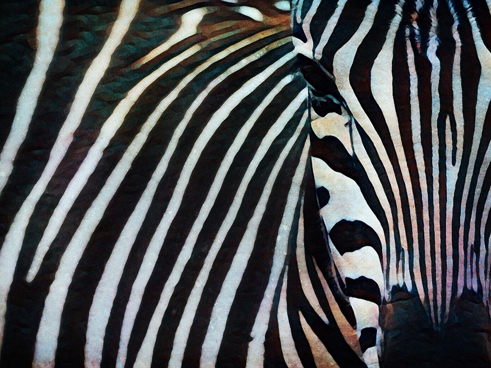 Black and White Zebra Stripes I art print by Ashley Aldridge for $57.95 CAD