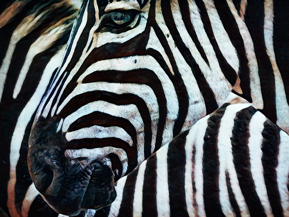 Black and White Zebra Stripes II art print by Ashley Aldridge for $57.95 CAD