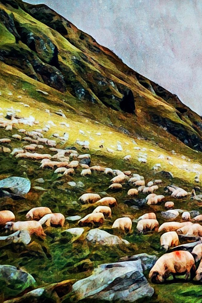 Highland Hillside Herd I art print by Ashley Aldridge for $57.95 CAD