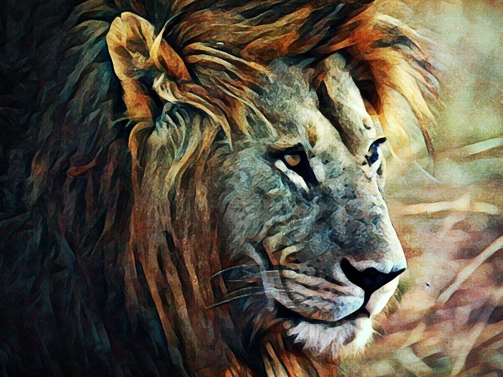 Lion Stalking Prey art print by Ashley Aldridge for $57.95 CAD