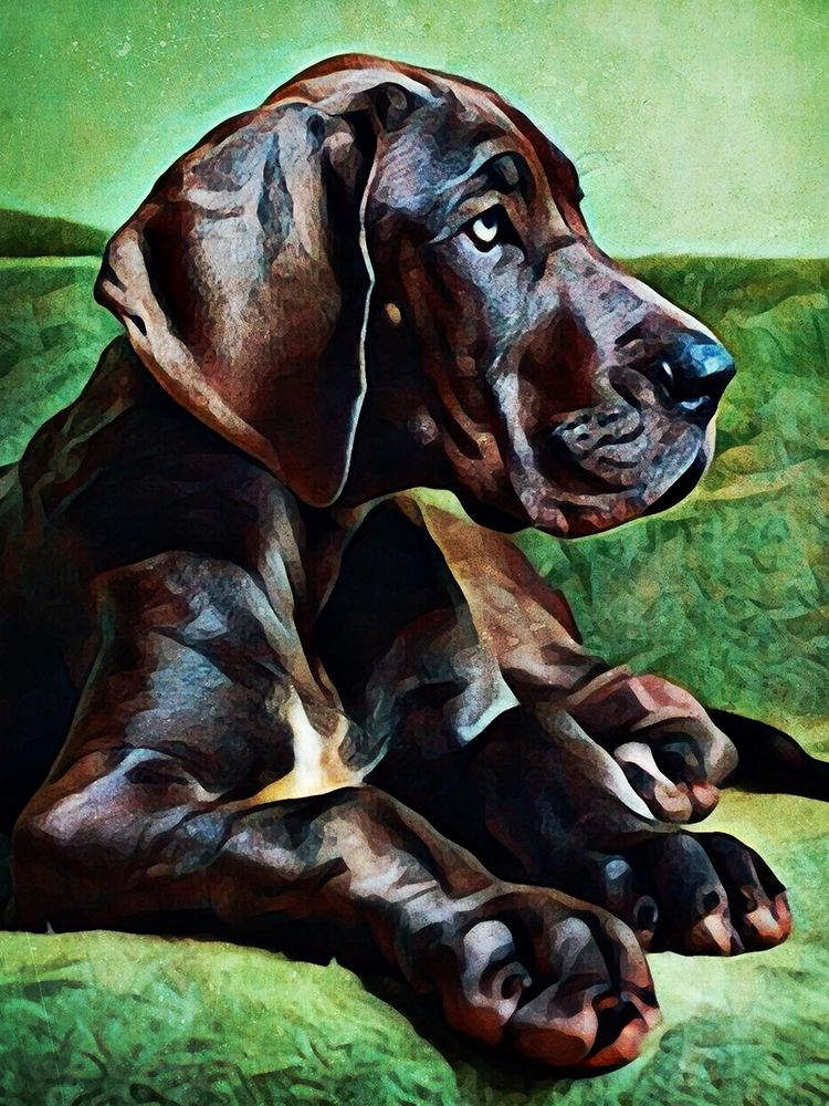Great Dane Puppy Perfection art print by Ashley Aldridge for $57.95 CAD