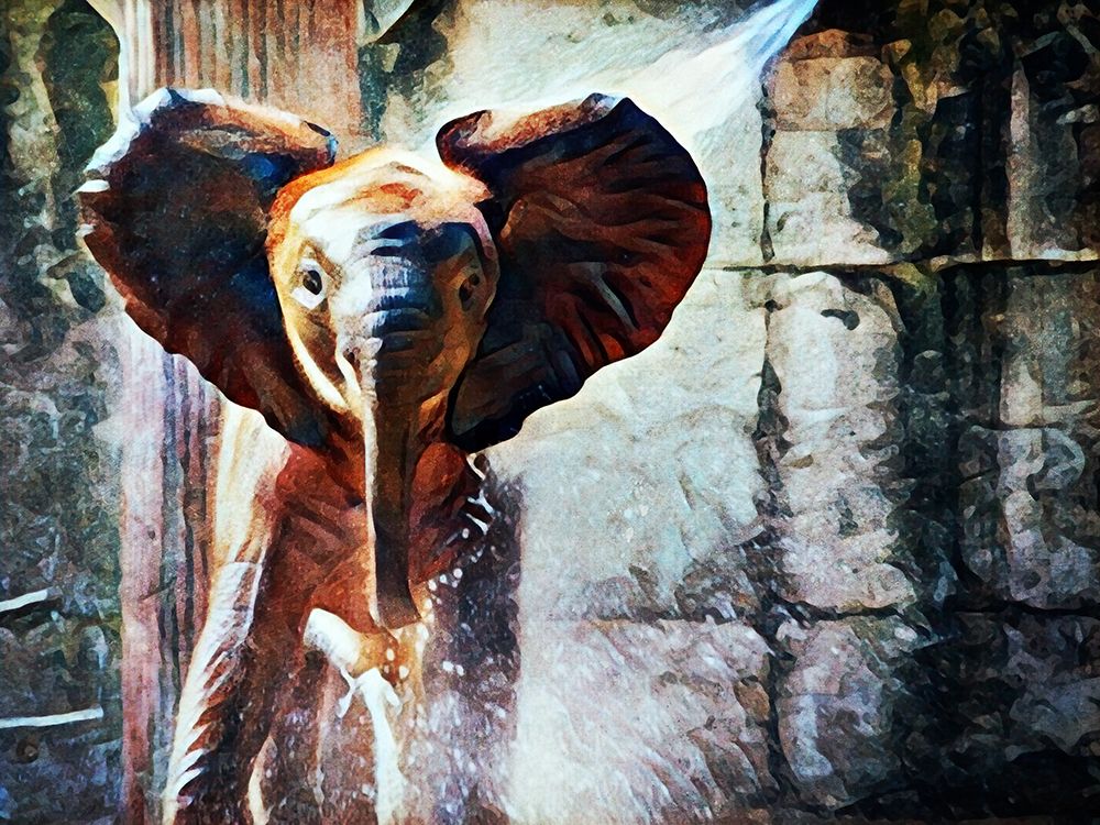 Baby African Elephant Hose Down art print by Ashley Aldridge for $57.95 CAD