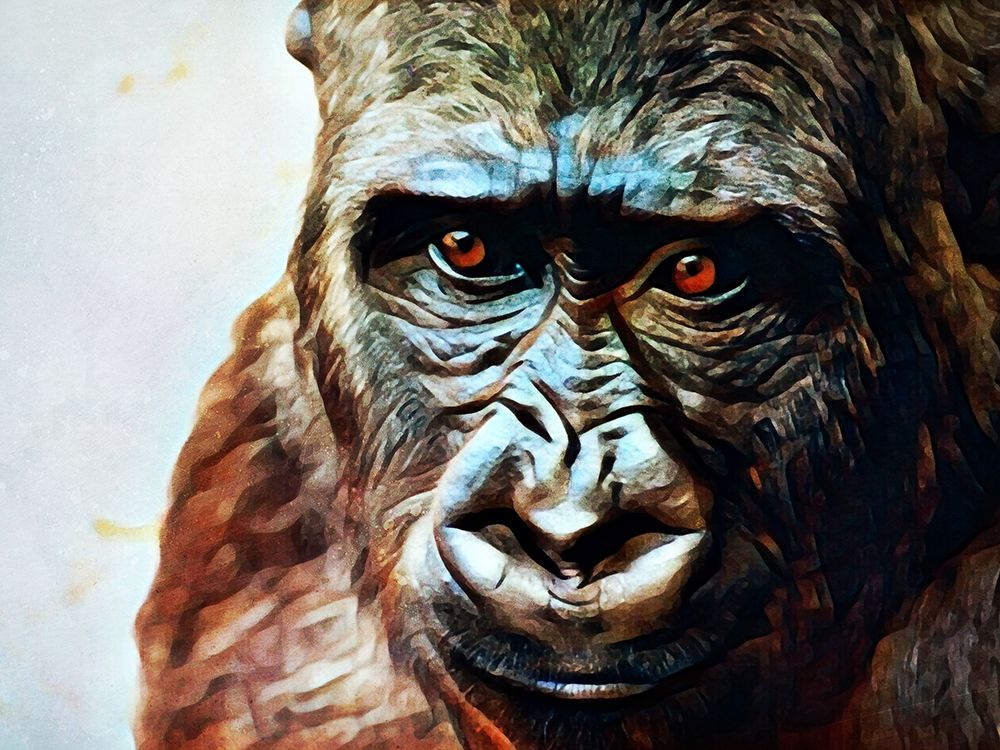 Gorilla Gazing Graciously art print by Ashley Aldridge for $57.95 CAD