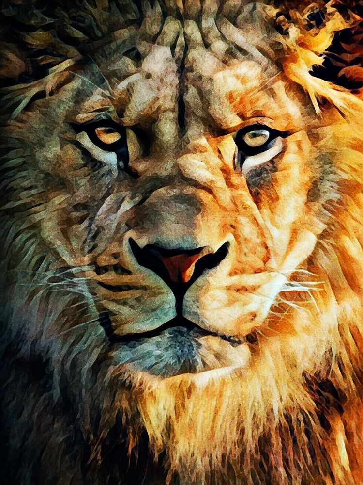 Lion Stare Down art print by Ashley Aldridge for $57.95 CAD