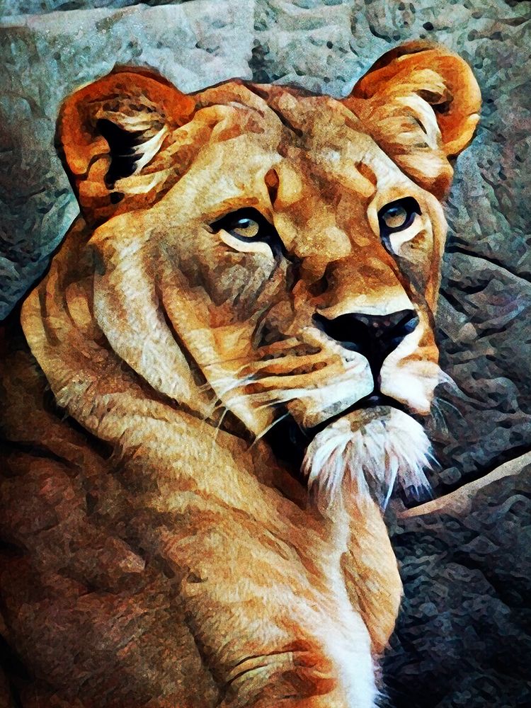 Lioness Beautiful Focus art print by Ashley Aldridge for $57.95 CAD
