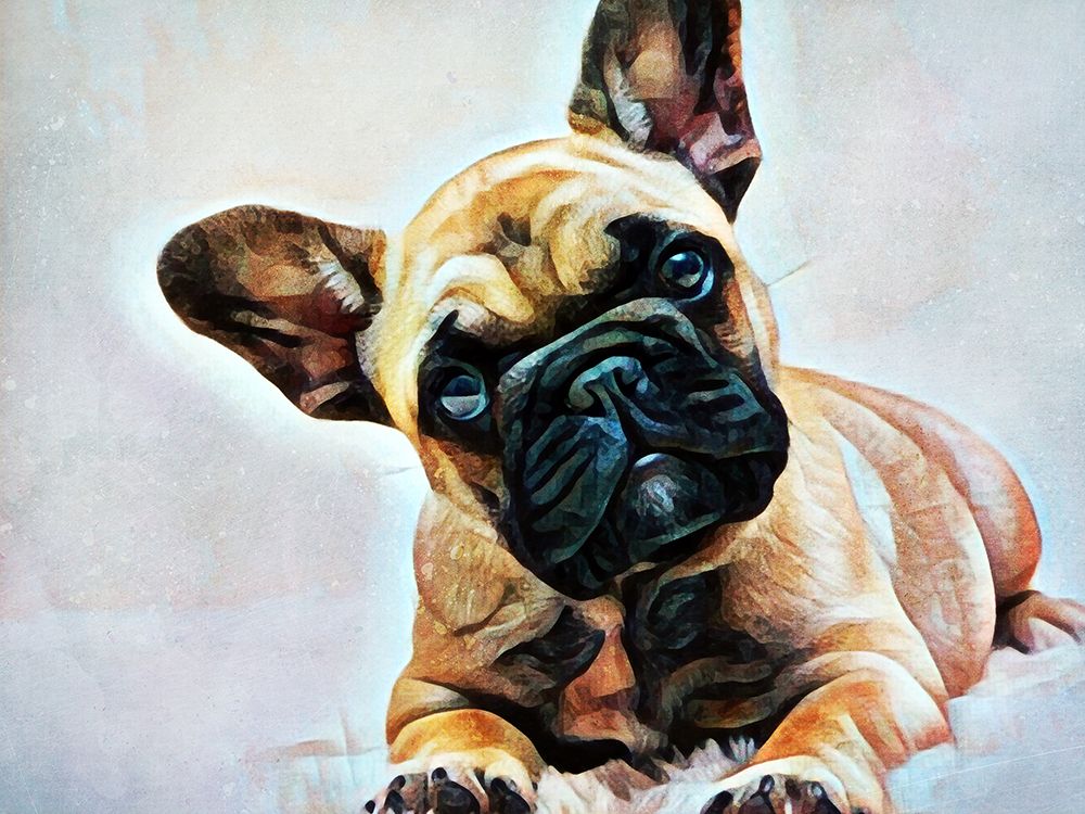 Fawn French Bulldog Puppy Pose art print by Ashley Aldridge for $57.95 CAD