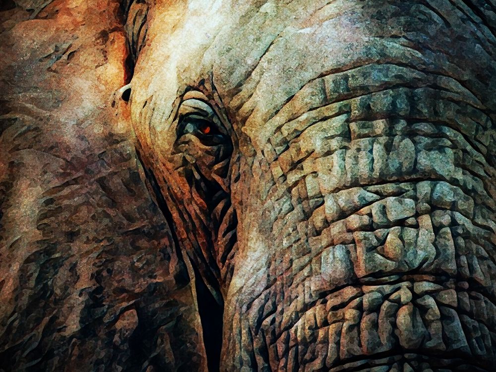 African Elephant Wise Eyes art print by Ashley Aldridge for $57.95 CAD
