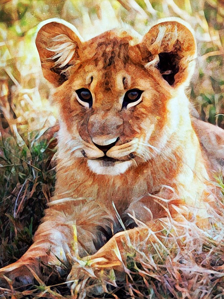 Lion Cub Future King  art print by Ashley Aldridge for $57.95 CAD