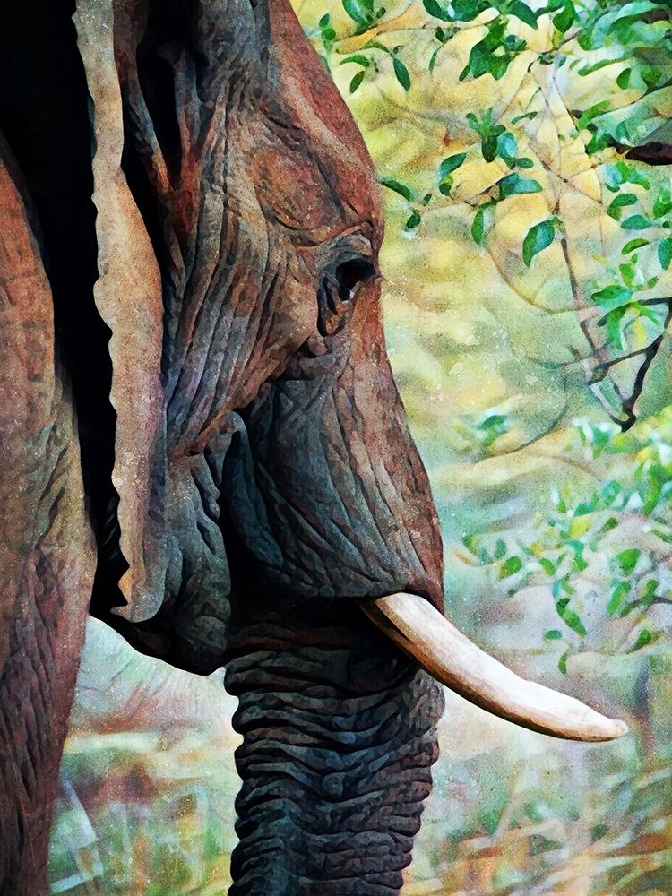 African Elephant Always Listening art print by Ashley Aldridge for $57.95 CAD
