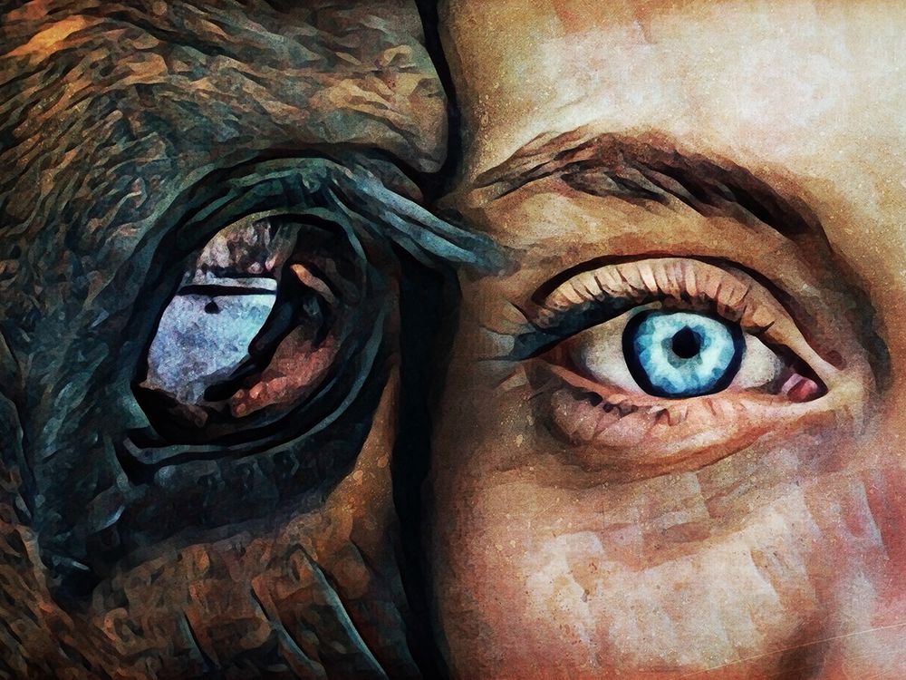 Eye to Eye art print by Ashley Aldridge for $57.95 CAD