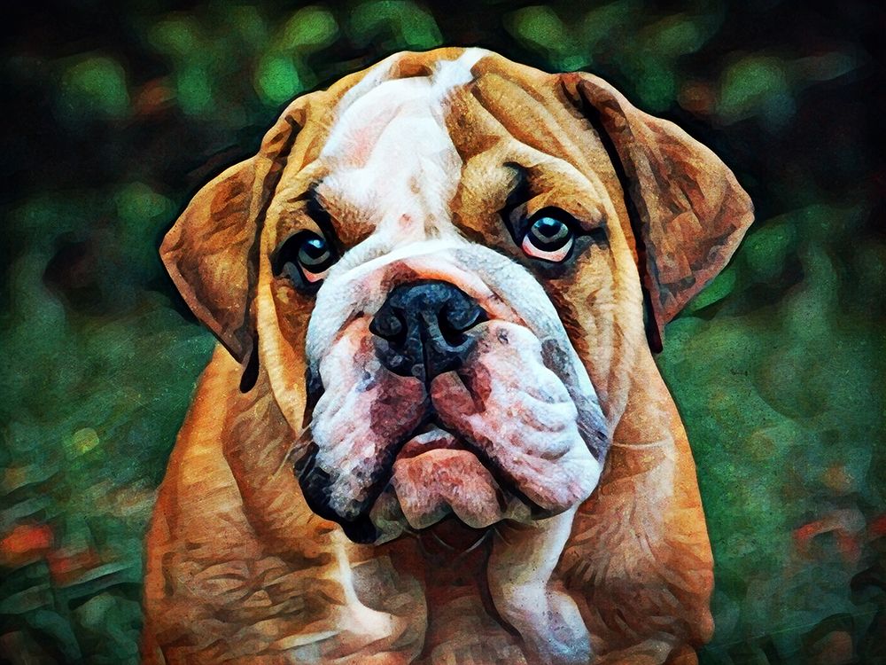 British Bulldog Puppy Pout art print by Ashley Aldridge for $57.95 CAD