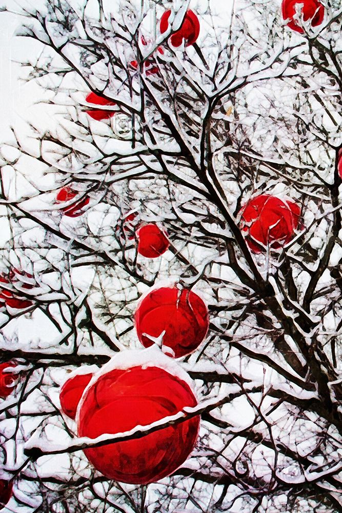 Snowy Red Bauble Branches II art print by Ashley Aldridge for $57.95 CAD