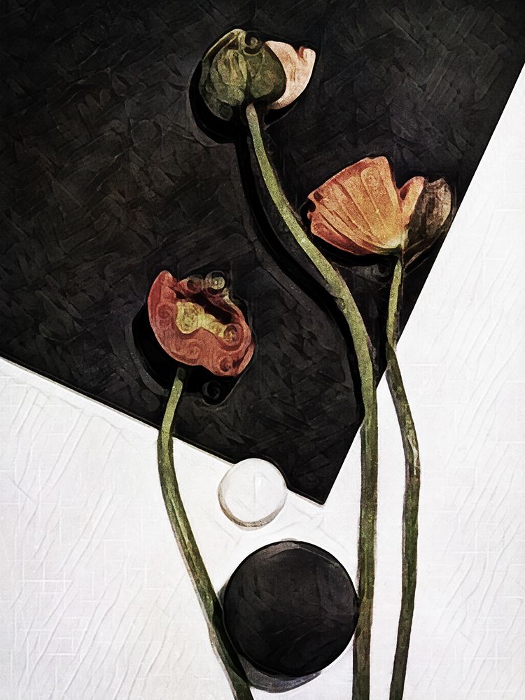 Modern Poppy Arrangement I art print by Ashley Aldridge for $57.95 CAD