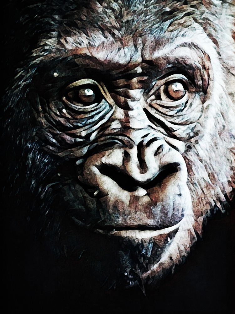 Primate Perfection I art print by Ashley Aldridge for $57.95 CAD