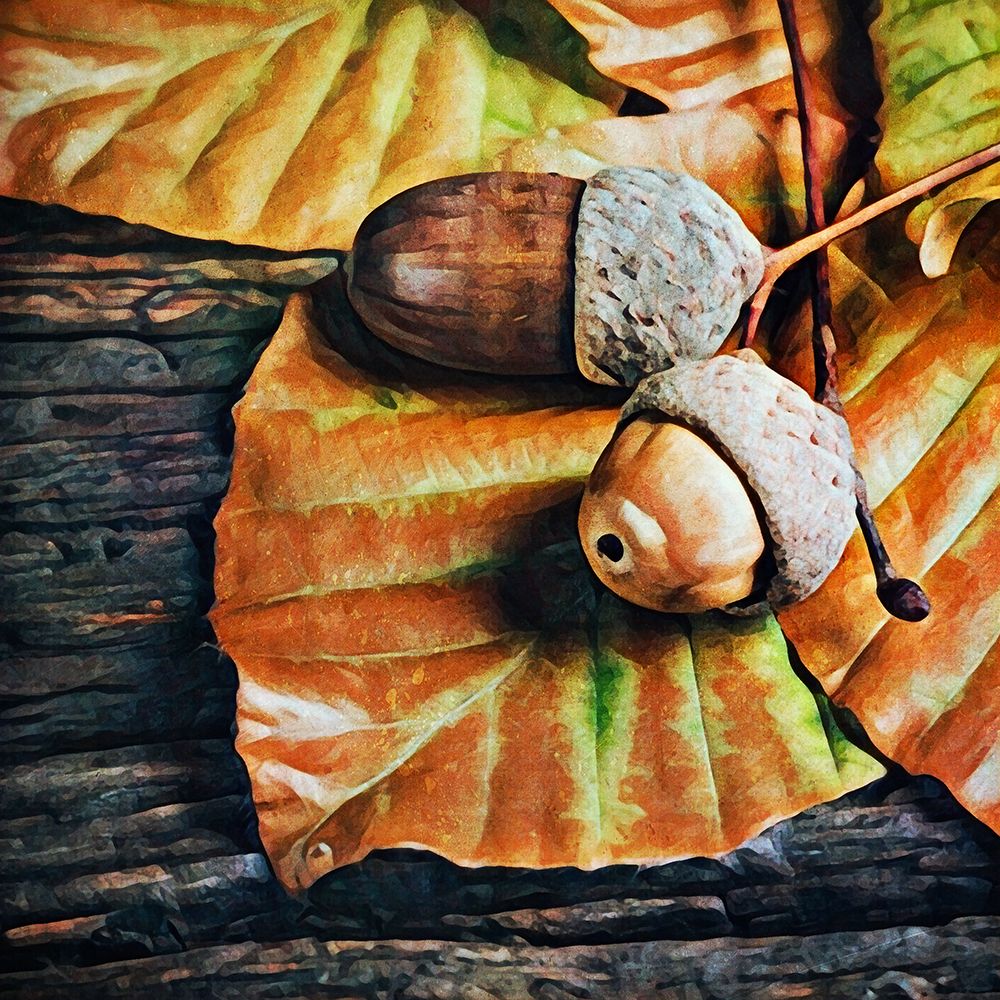Autumn Acorns art print by Ashley Aldridge for $57.95 CAD