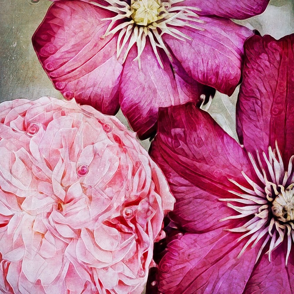 Pretty Pink Petals art print by Ashley Aldridge for $57.95 CAD