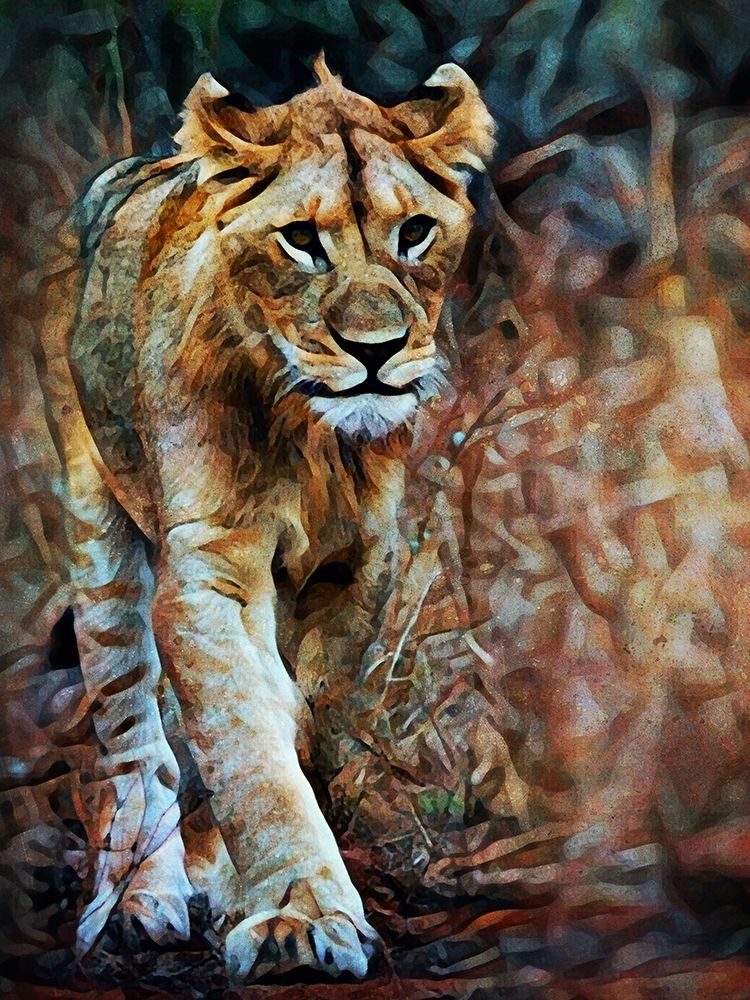 Lion Stalking In Style art print by Ashley Aldridge for $57.95 CAD