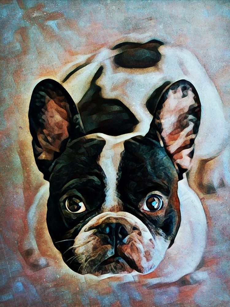 French Bulldog Fixation art print by Ashley Aldridge for $57.95 CAD