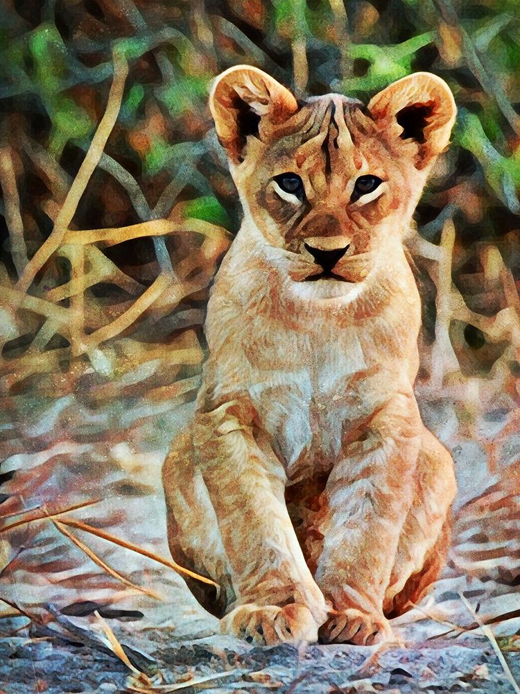 Lion Cub Sitting Sentinel art print by Ashley Aldridge for $57.95 CAD