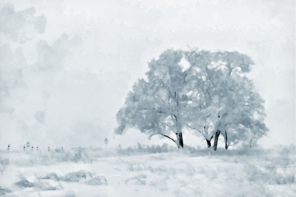 Snow Tree art print by Kim Curinga for $57.95 CAD