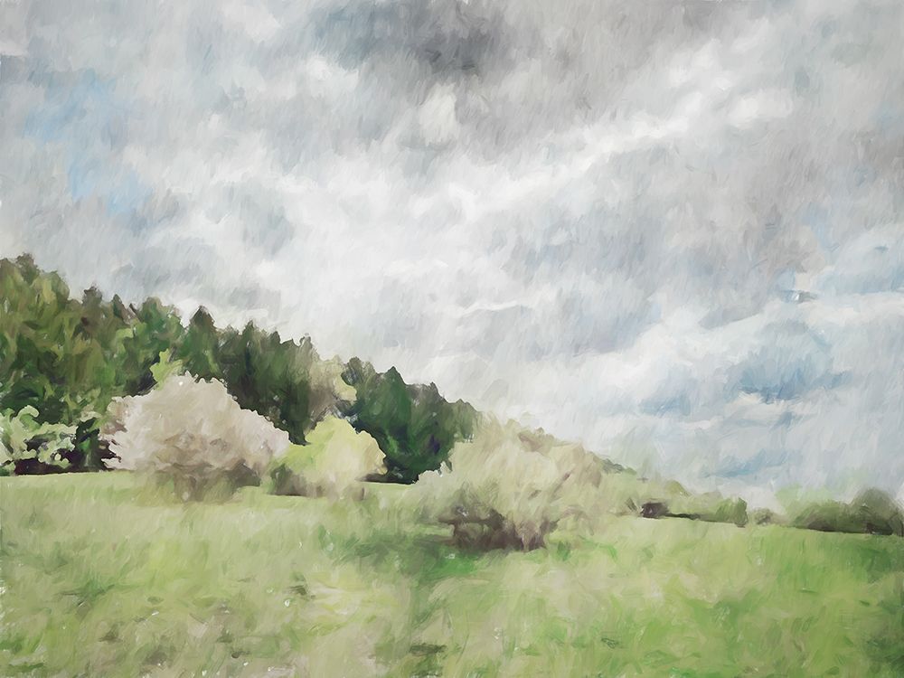 Trees in Bloom art print by Kim Curinga for $57.95 CAD