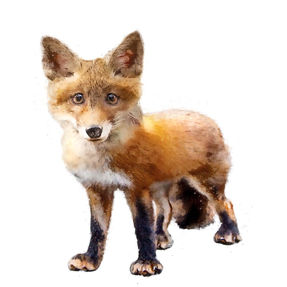 Lil Fox Standing art print by Kim Curinga for $57.95 CAD