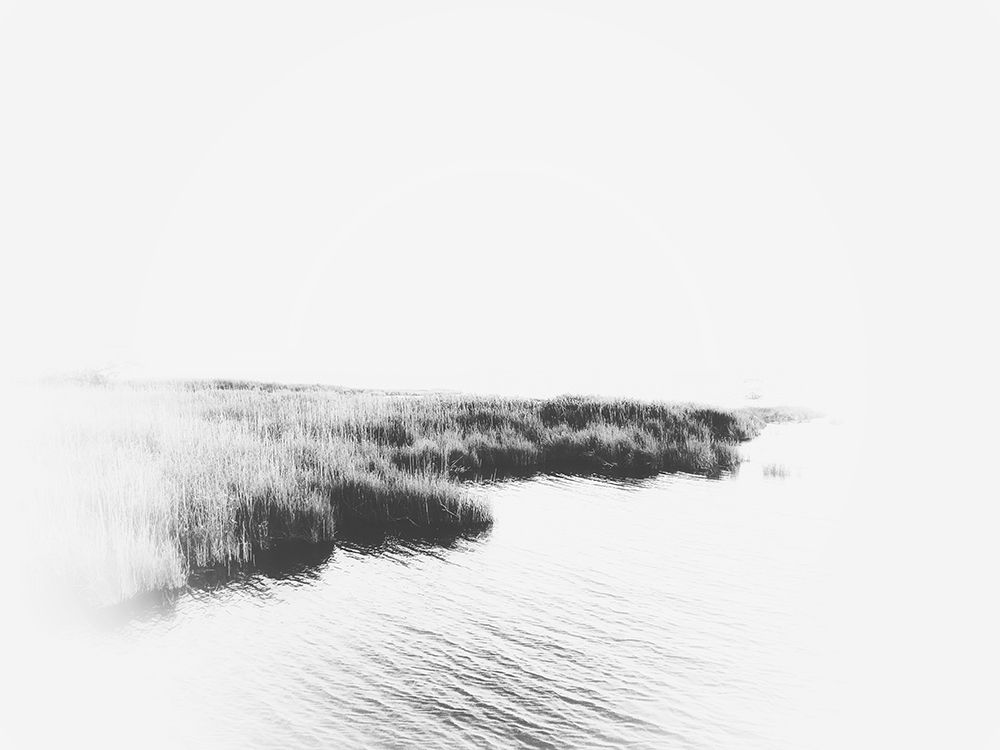 Bleached Marsh art print by Kim Curinga for $57.95 CAD