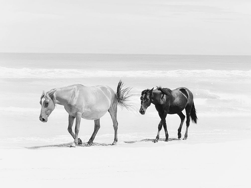 Beach Horse Duo art print by Kim Curinga for $57.95 CAD