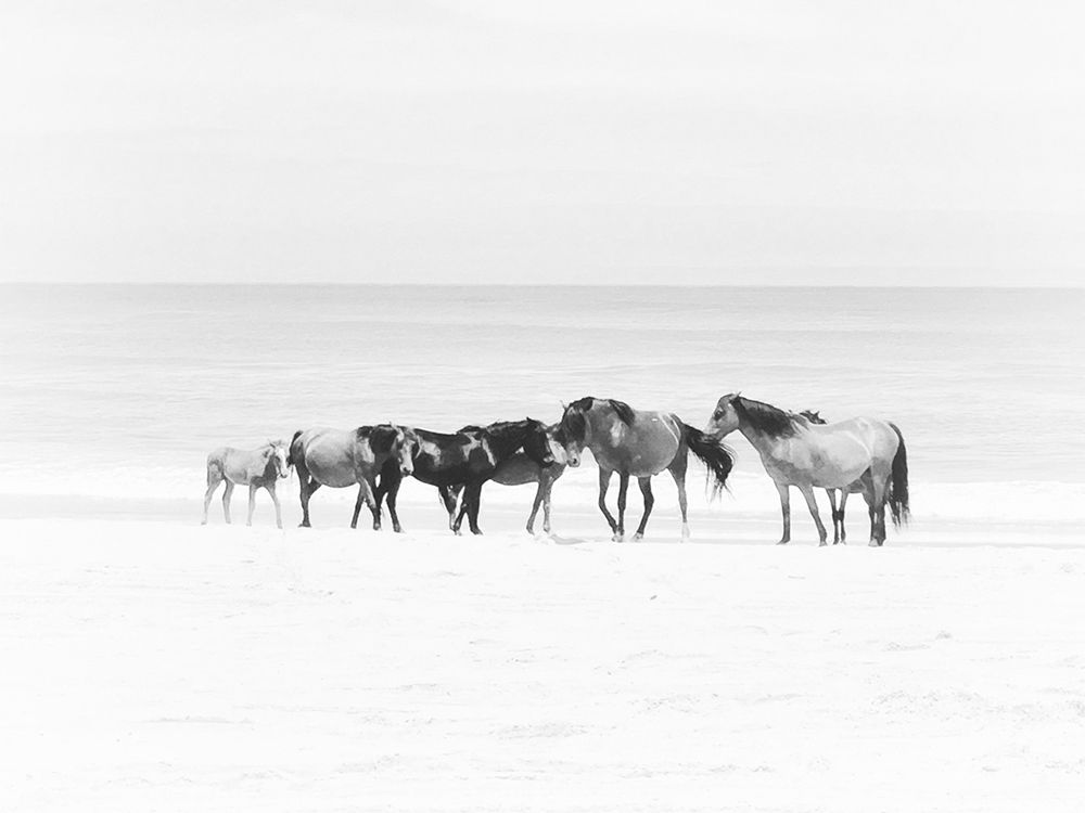 Corolla Beach Horses art print by Kim Curinga for $57.95 CAD