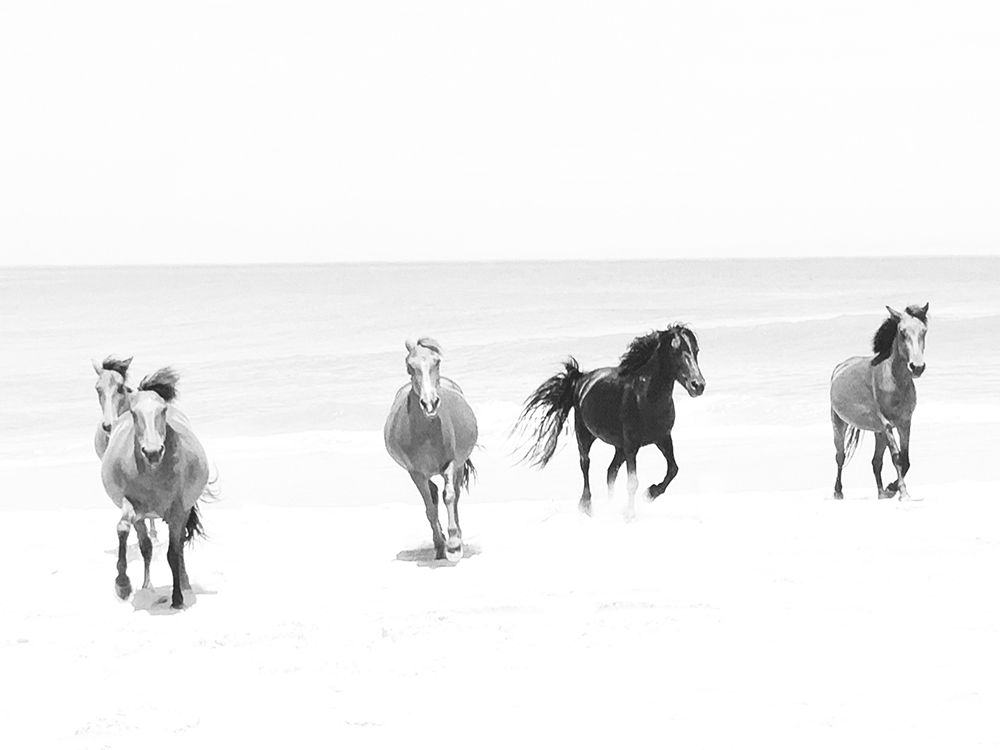 Beach Horses Running art print by Kim Curinga for $57.95 CAD
