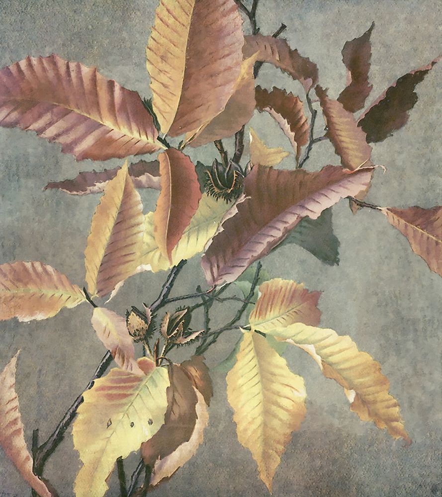 Ancient Autumn I art print by Steve Hunziker for $57.95 CAD
