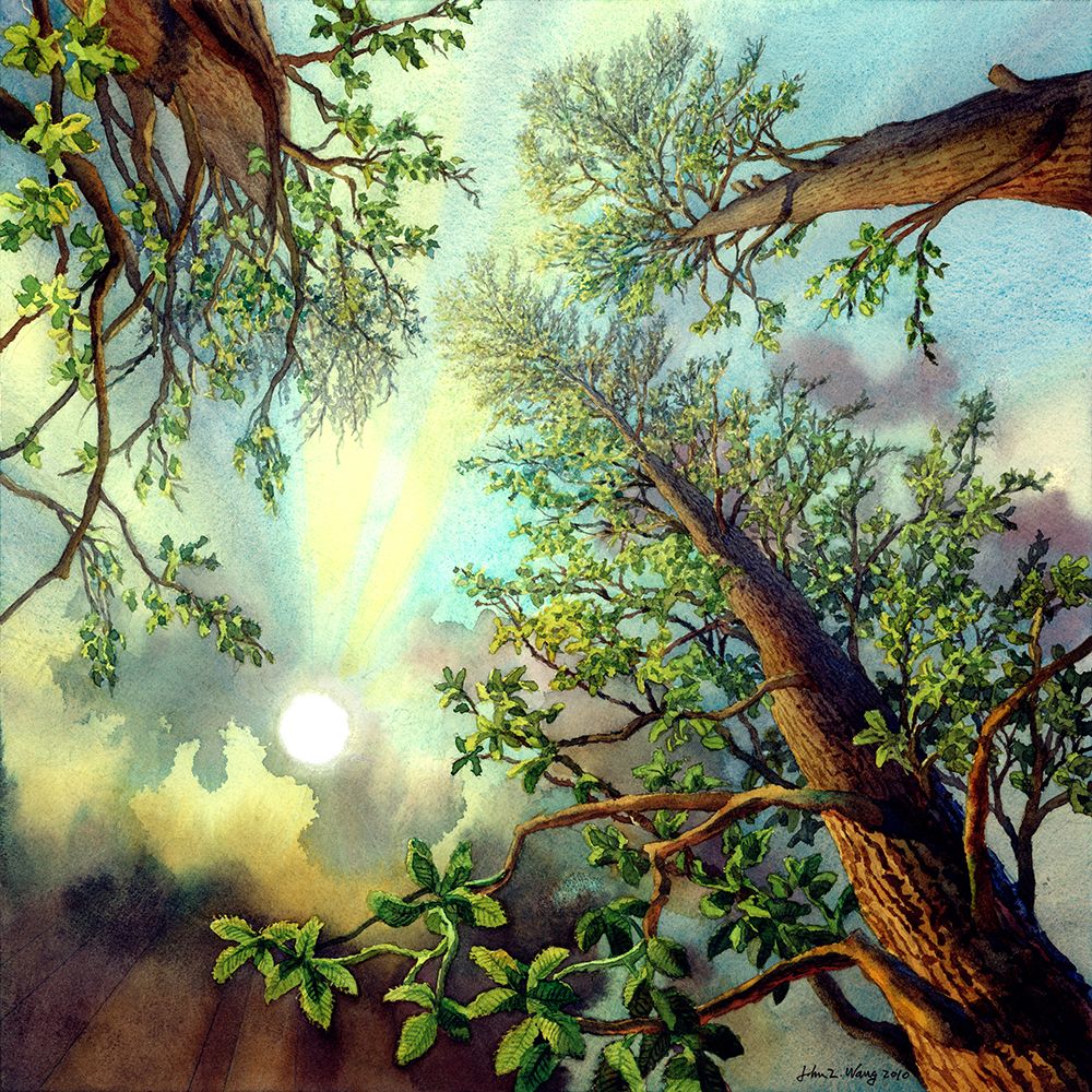 Tree Music IV art print by John Wang for $57.95 CAD