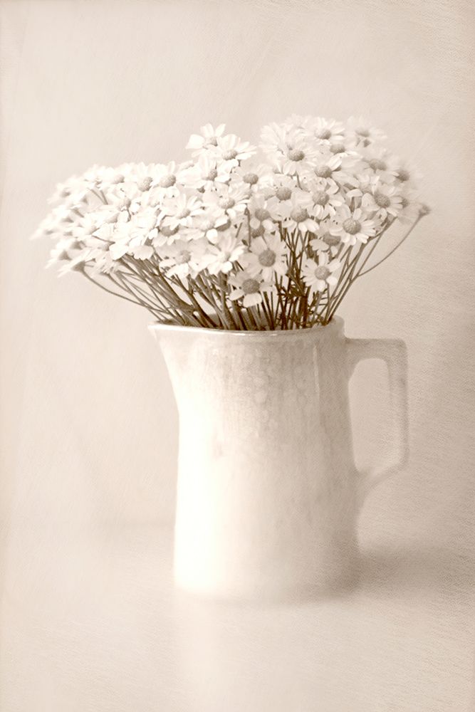 Jug of Daisies art print by Judy Stalus for $57.95 CAD