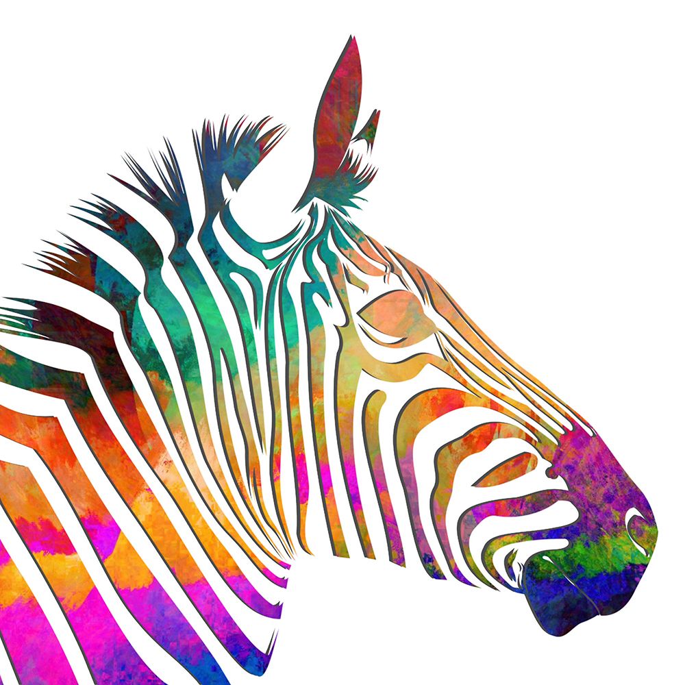 Rainbow Zebra art print by Karen Smith for $57.95 CAD