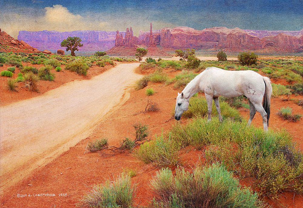 White Horse Road in Monument Valley art print by Christopher Vest for $57.95 CAD