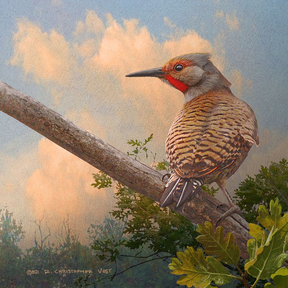 Flicker at Sunset art print by Christopher Vest for $57.95 CAD